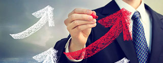 Our Services