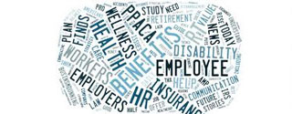 Our Services