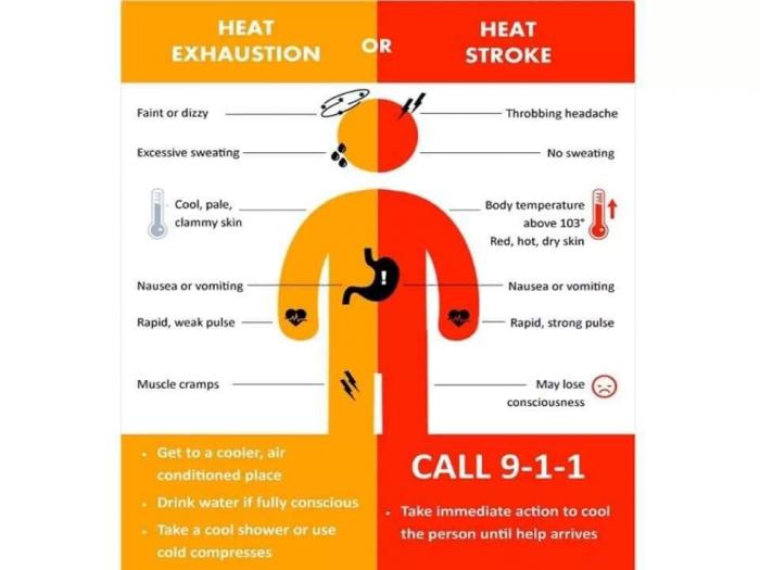 California employers: preventing heat-related illness California employers: preventing heat-related illness